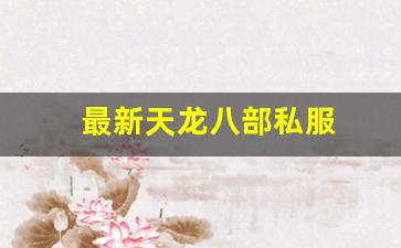 521天龙八部发布网：最新天龙八部私服 (13)